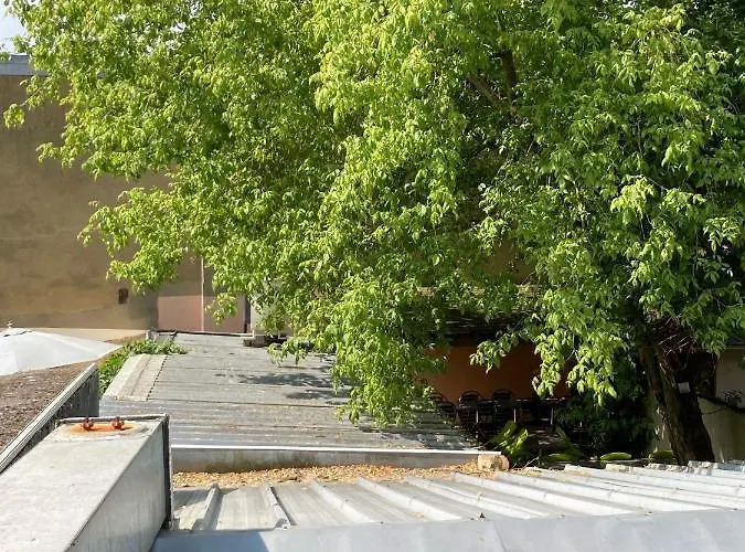 Le Comptoir, Confort, Gare Et Tramway A 4min 酒店